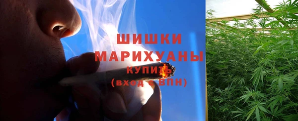 apvp Богданович