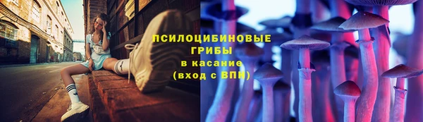 apvp Богданович