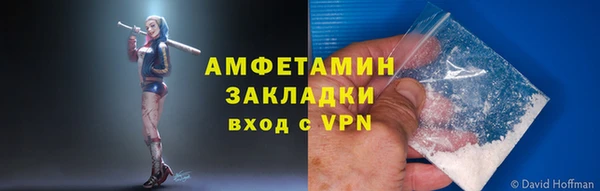 дживик Бронницы