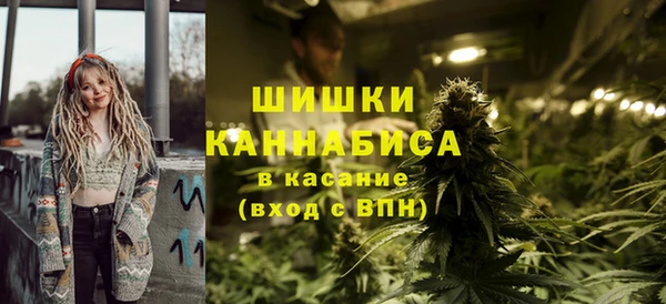 Альфа ПВП Богородск